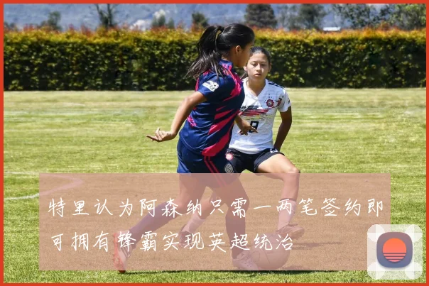 特里认为阿森纳只需一两笔签约即可拥有锋霸实现英超统治